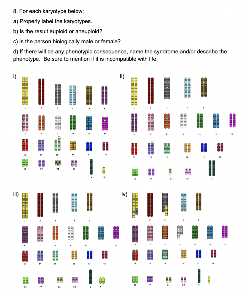 Solved 8. For Each Karyotype Below: A) Properly Label The | Chegg.com