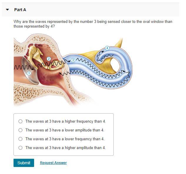 Solved Part A Why are the waves represented by the number 3 | Chegg.com
