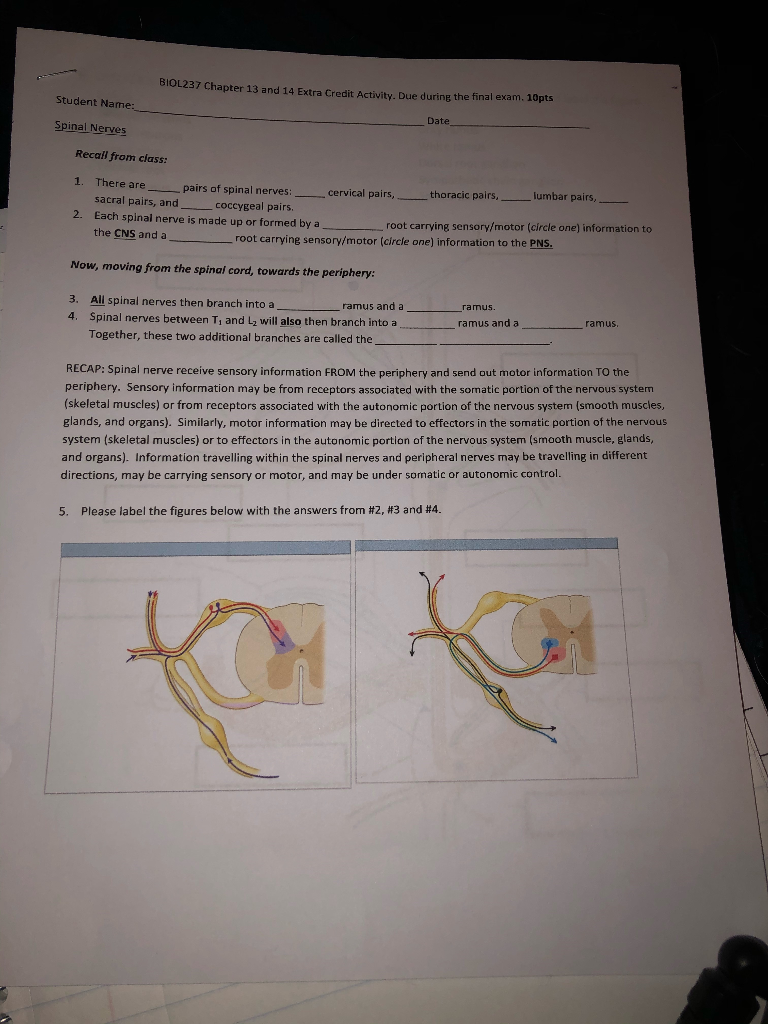 13 D Extra Chapter And Activity. Credit 14 BIOL237 ...