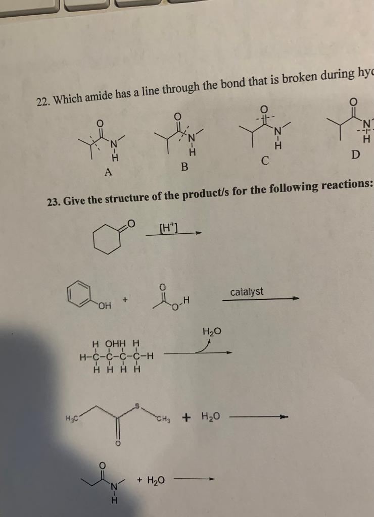 Solved 22. Which Amide Has A Line Through The Bond That Is | Chegg.com