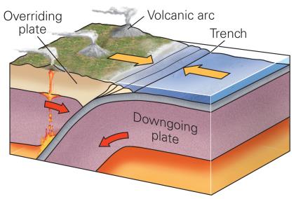 Solved 1)-a Write The Name Of The Plate Boundary Shown In 