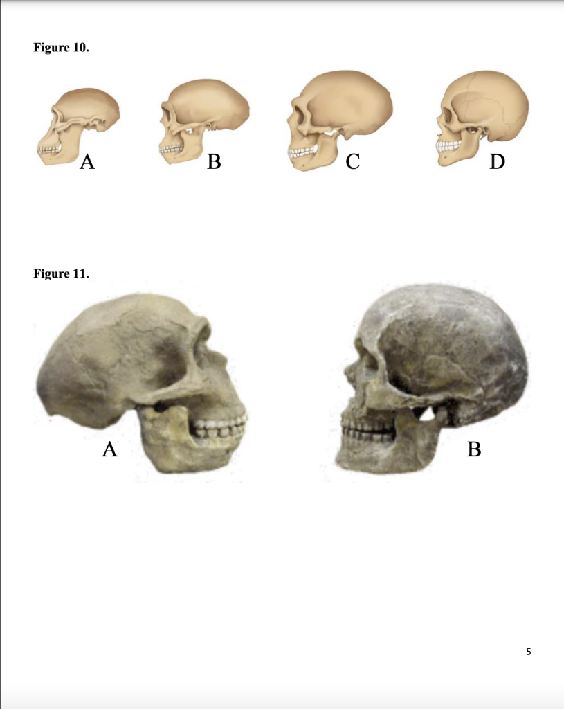 Figure 1. Figure 2.Figure 3. Figure 4. Figure | Chegg.com