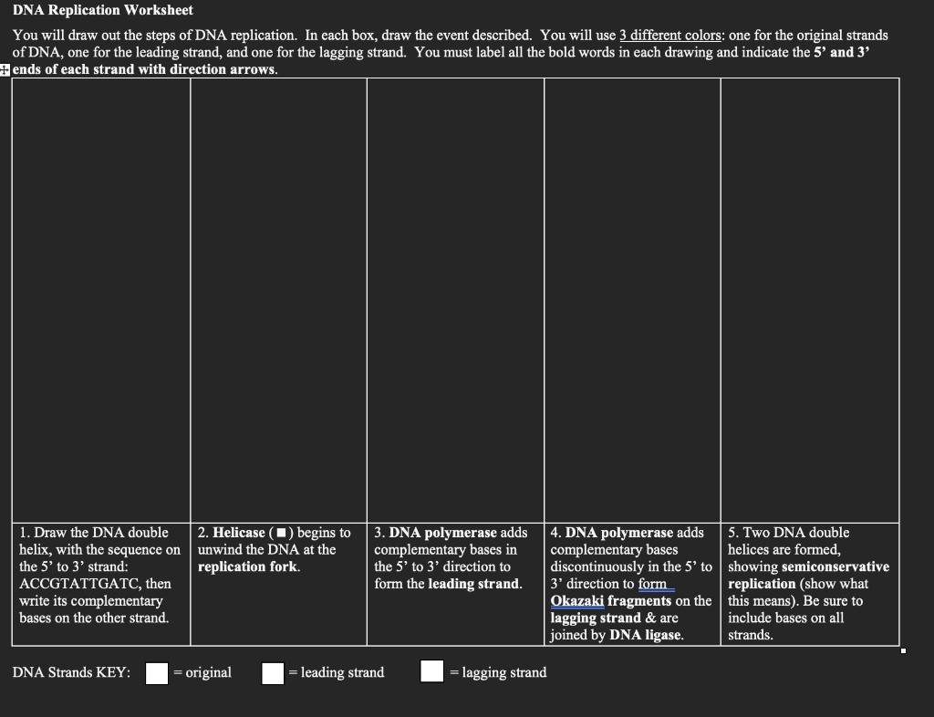 comparing dna replication and transcription worksheet answers