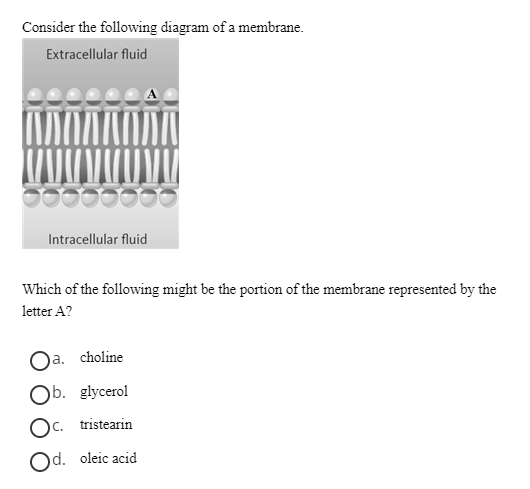 Solved Consider the following diagram of a membrane. Which | Chegg.com