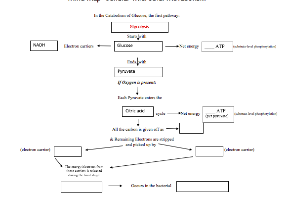 Solved In the Catabolism of Glucose, the first pathway: | Chegg.com