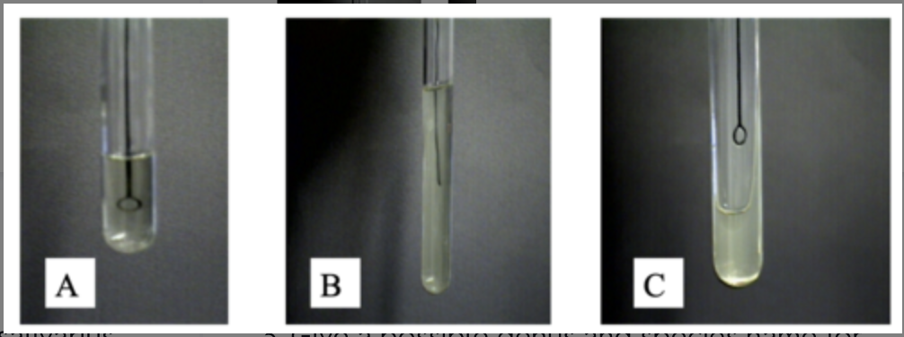 solved-a-b-1-which-tube-is-called-a-transport-media-2-chegg