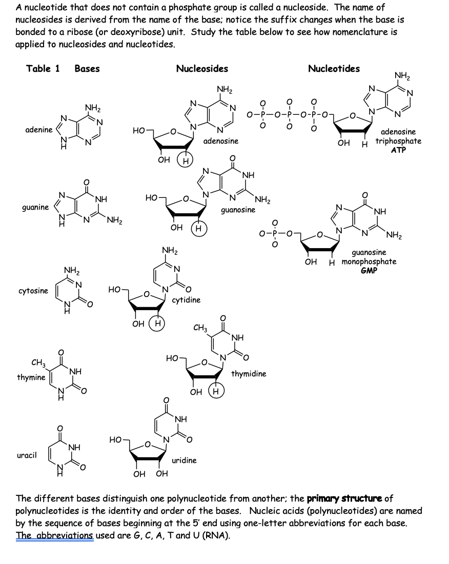 critical thinking questions about nucleic acids