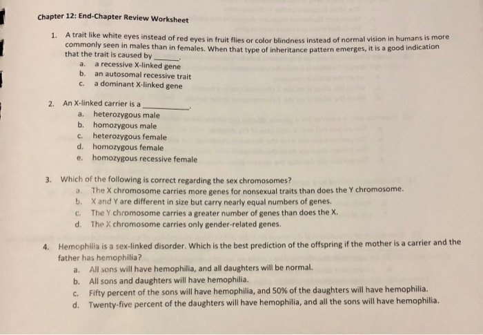33 Chapter 12 Patterns Of Heredity And Human Genetics Worksheet Answers