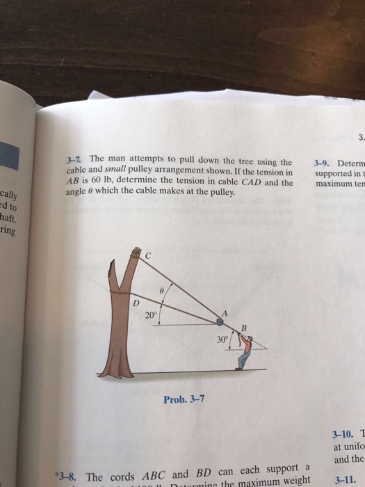 Solved The man attempts to pull down the tree using the