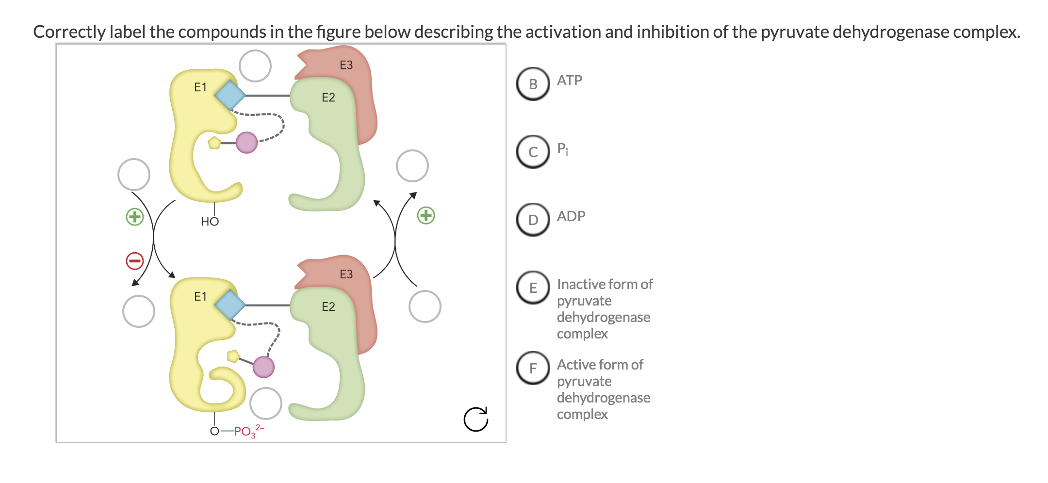 Solved Correctly label the compounds in the figure below | Chegg.com