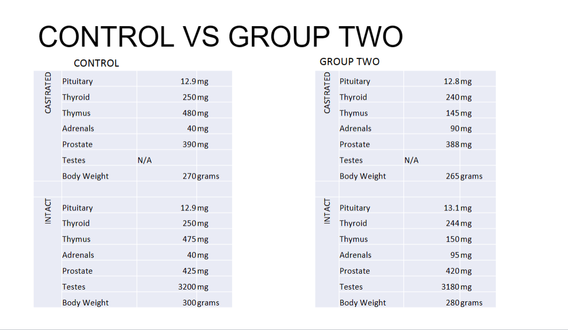 Solved Preliminary table - Using the information in slides | Chegg.com