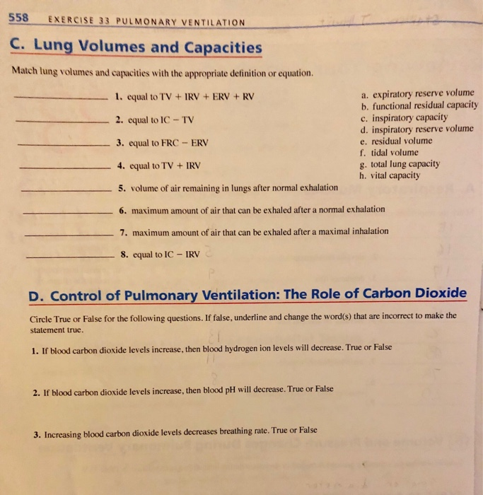 Solved 558 EXERCISE 33 PULMONARY VENTILATION C. Lung Volumes | Chegg.com