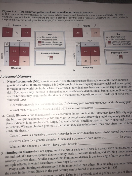 Solved In Figure 21.4b 50 1 Of The Offspring Have The | Chegg.com