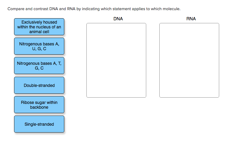 Solved Label the DNA molecule. Hydrogen bond Phosphate group | Chegg.com