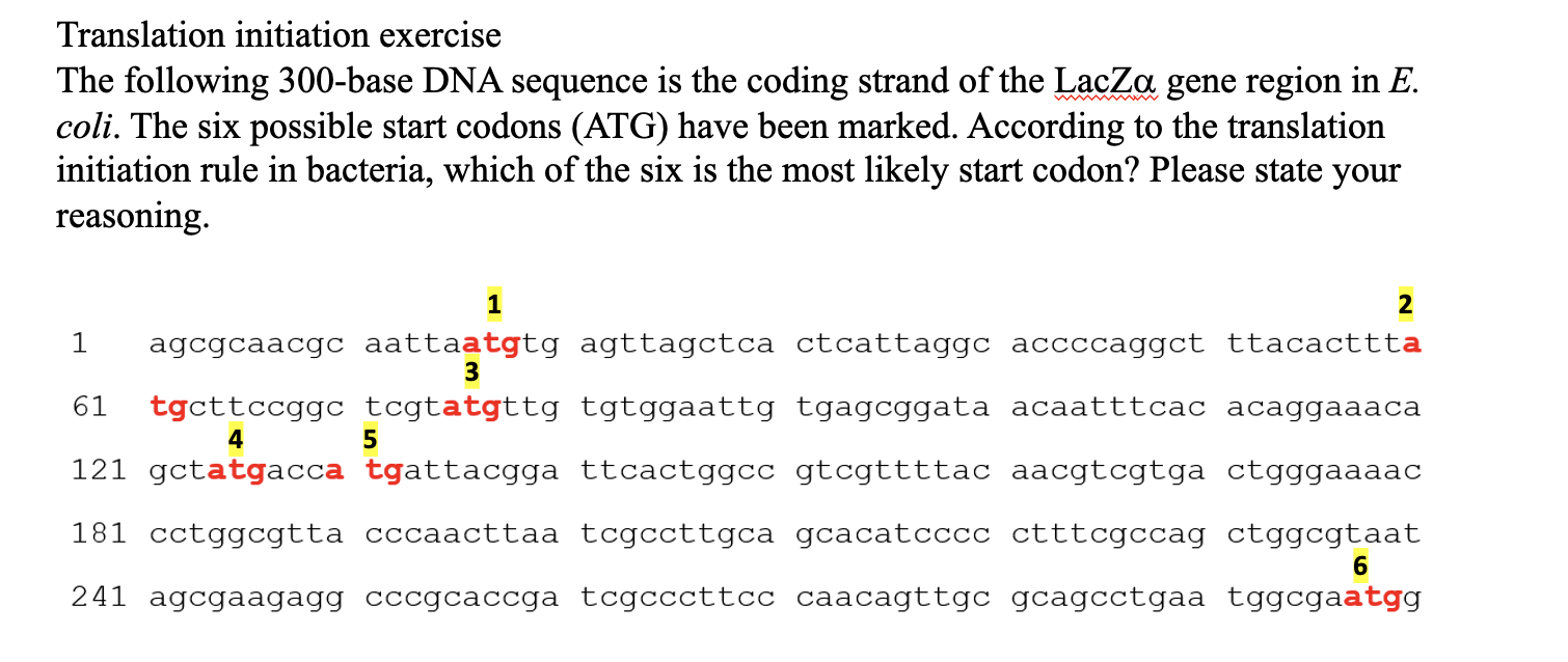 Solved Translation Initiation Exercise The Following | Chegg.com