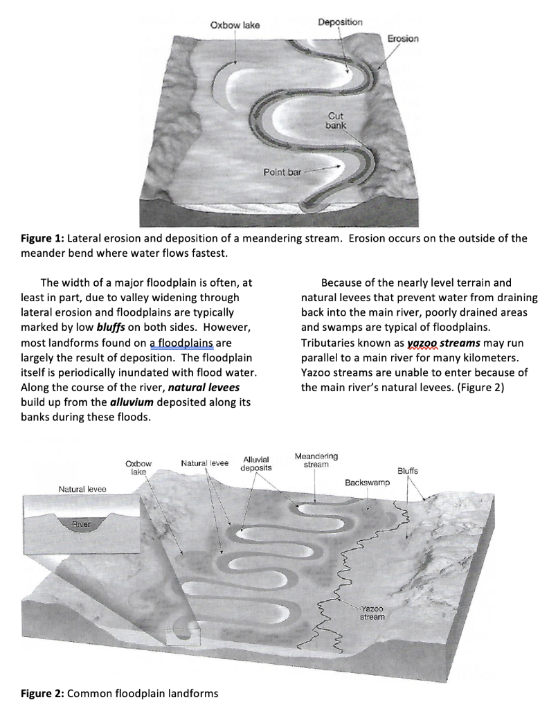 Solved In the upper reaches of a typical river a floodplain. | Chegg.com