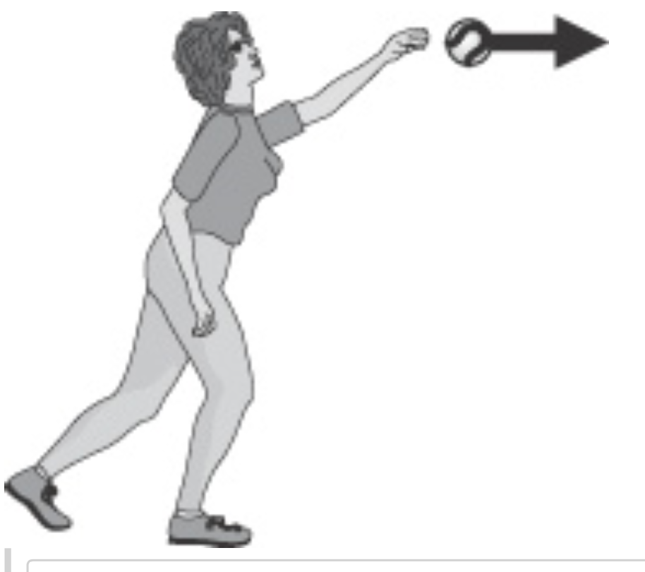 Solved Question 3 A pitcher throws a baseball. She releases
