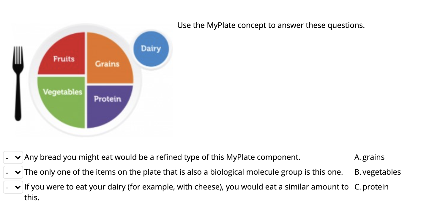 Solved Use the MyPlate concept to answer these questions.