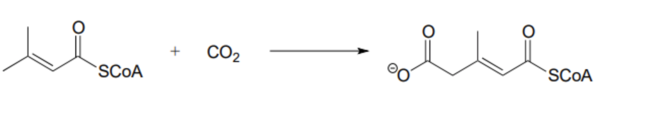 Solved Propose a mechanism for the following carboxylation | Chegg.com