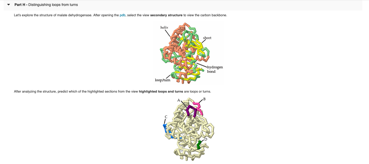 Solved Part E - Exploring Parallel B Sheet Structure And | Chegg.com