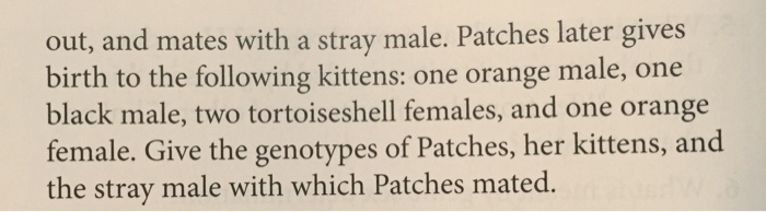 solved-25-coat-color-in-cats-is-determined-by-genes-at-chegg