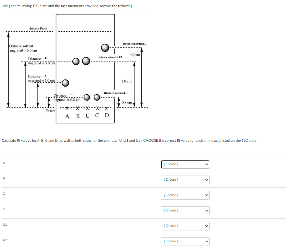 Solved Using the following TLC plate and the measurements