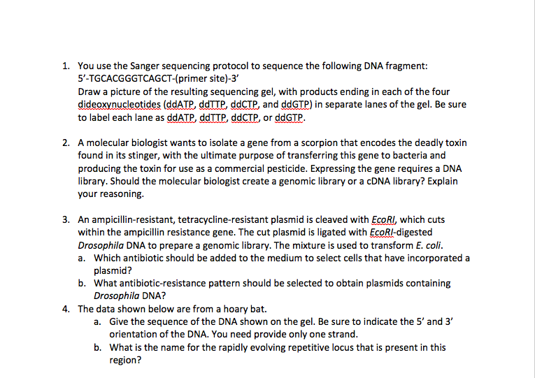 Solved 11. A linear piece of DNA that is 14 kb long is cut | Chegg.com