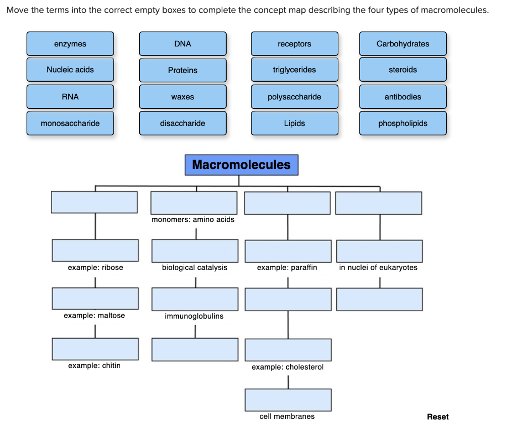Solved Move the terms into the correct empty boxes to