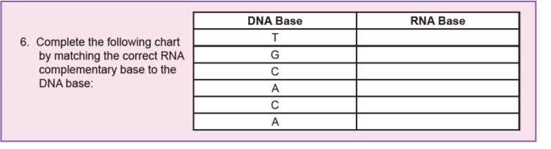 Solved Dna Base Rna Base 6. Complete The Following Chart By 