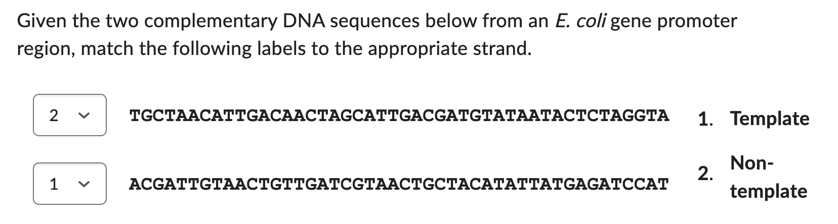 Solved Given the two complementary DNA sequences below from | Chegg.com