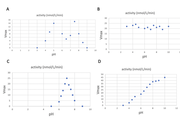 Solved C. Looking at your plot of [S] vs [Vi] for | Chegg.com