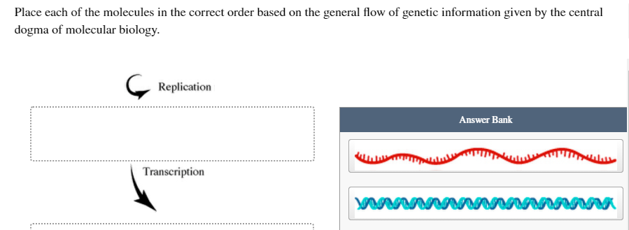 Solved Place each of the molecules in the correct order | Chegg.com