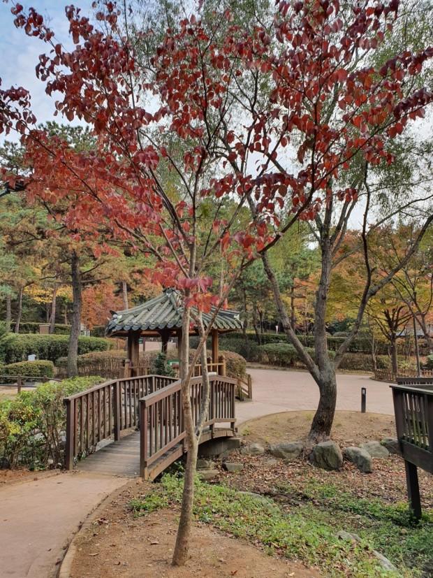 Solved Write a python code. Fine the correlation | Chegg.com