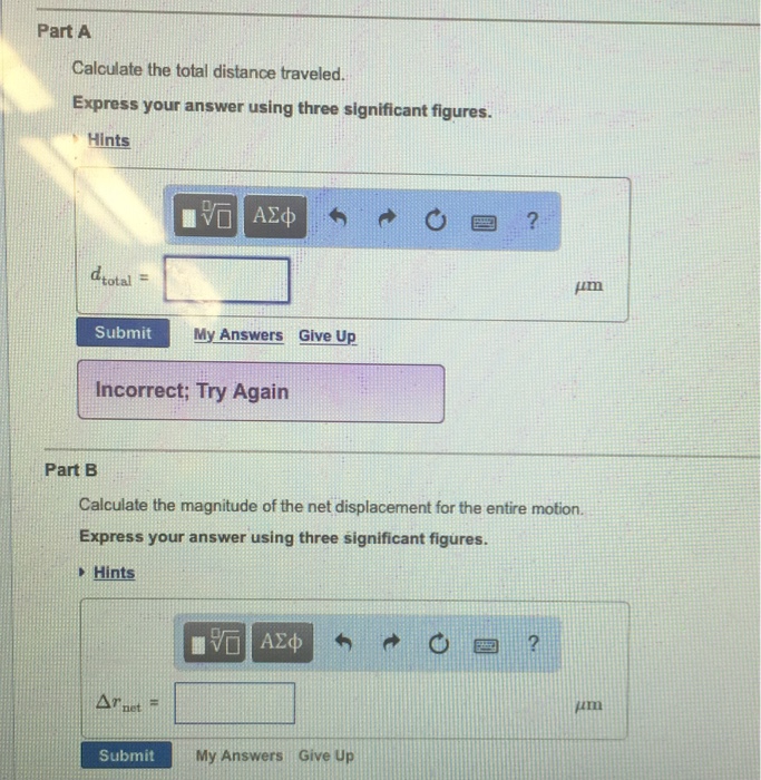 Solved The bacterium Escherichia coli (or E. coll) is a | Chegg.com