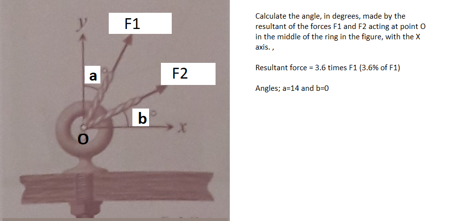 Solved F1 Calculate the angle, in degrees, made by the | Chegg.com
