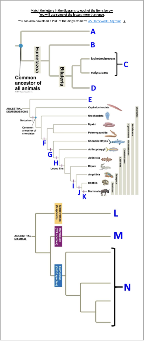 Solved Match the letters in the diagrams to each of the | Chegg.com