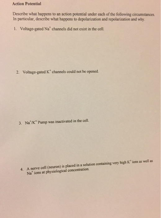 what best describes what happens when an action potential occurs