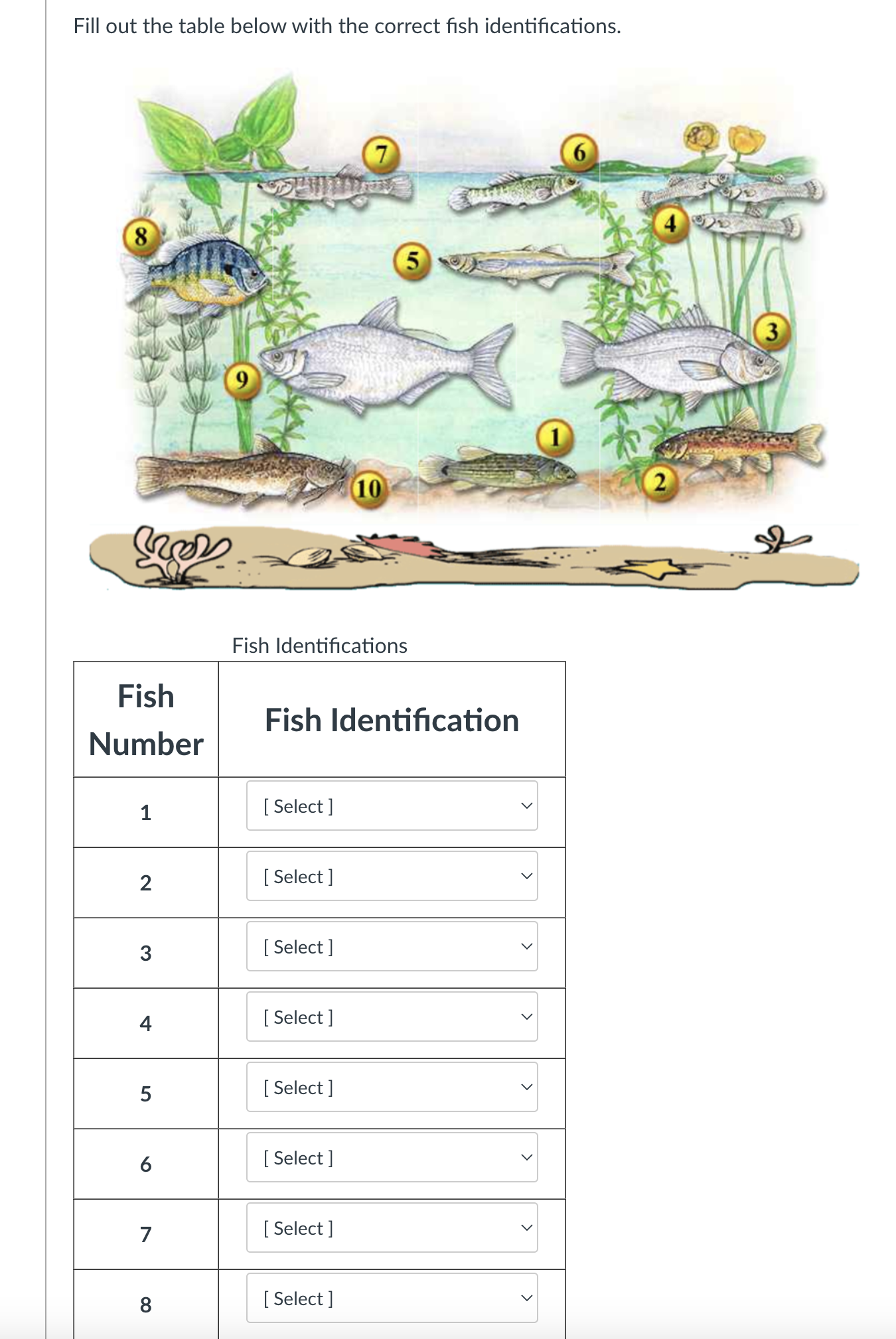 Fill out the table below with the correct fish | Chegg.com