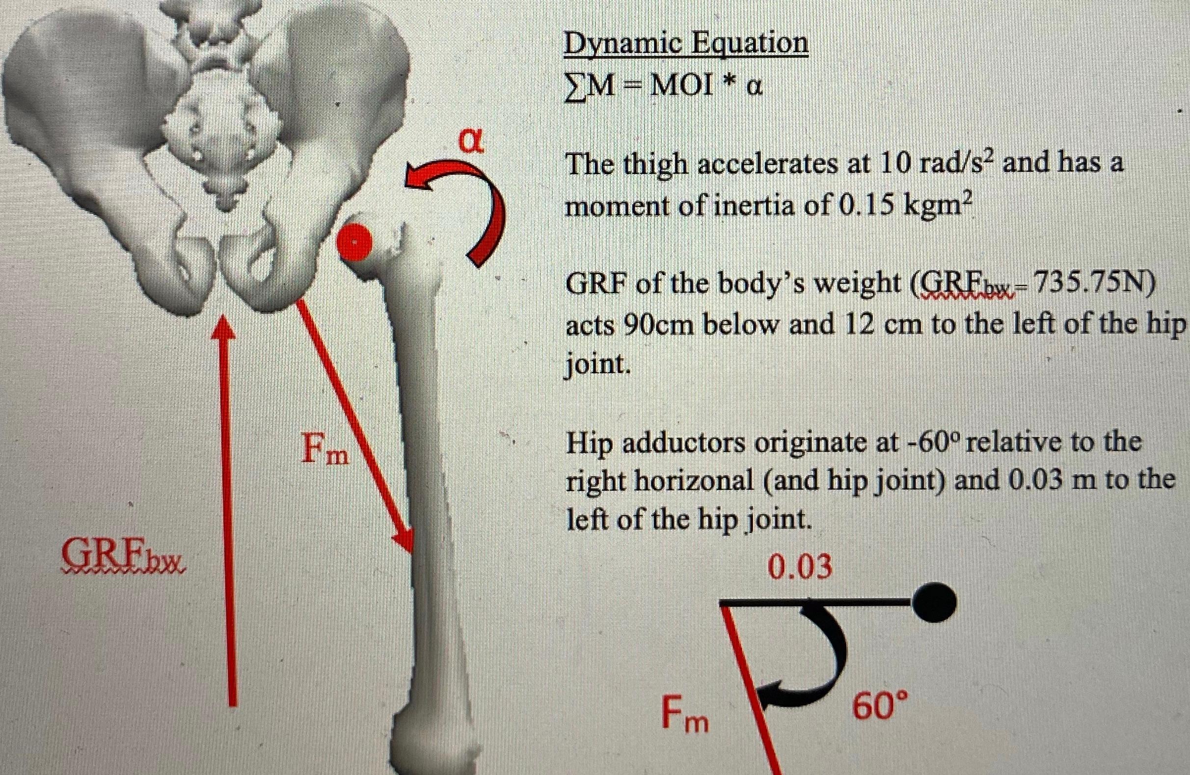 Problem 1. The figure below depicts a posterior view | Chegg.com