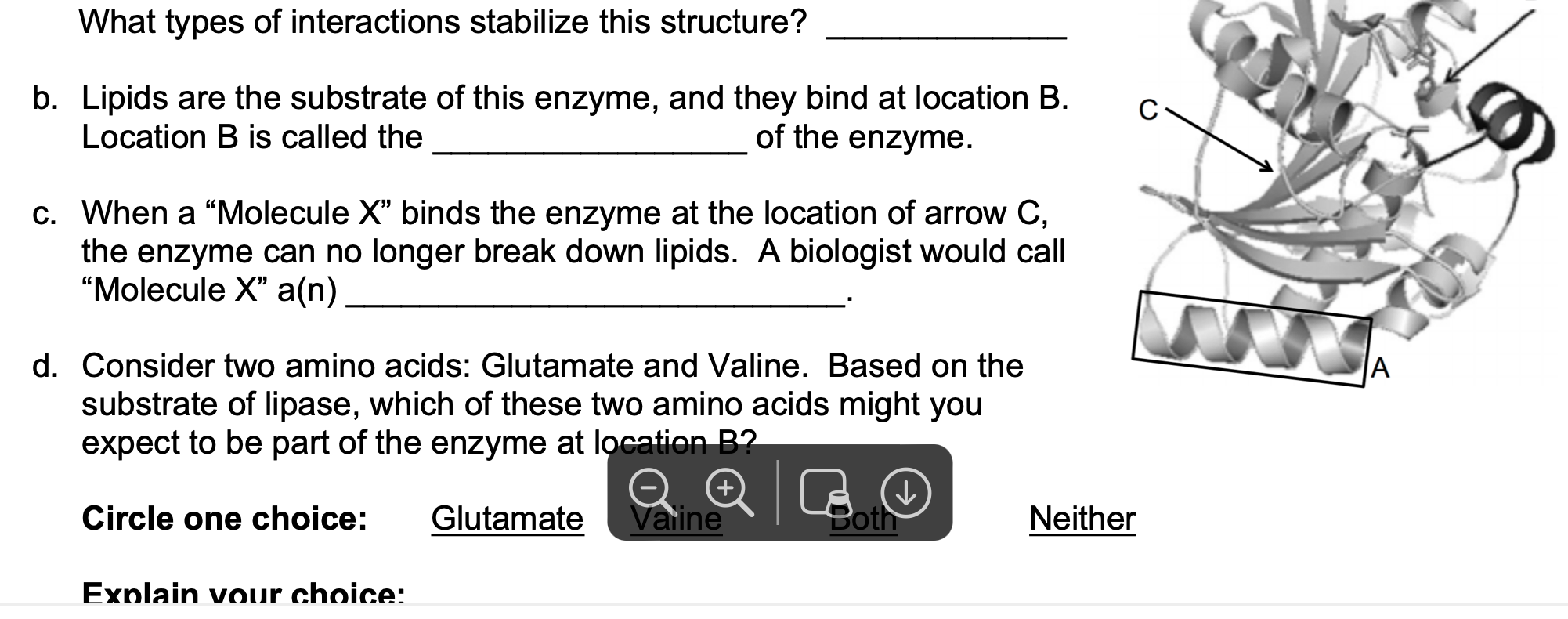 Solved What Types Of Interactions Stabilize This Structure? | Chegg.com