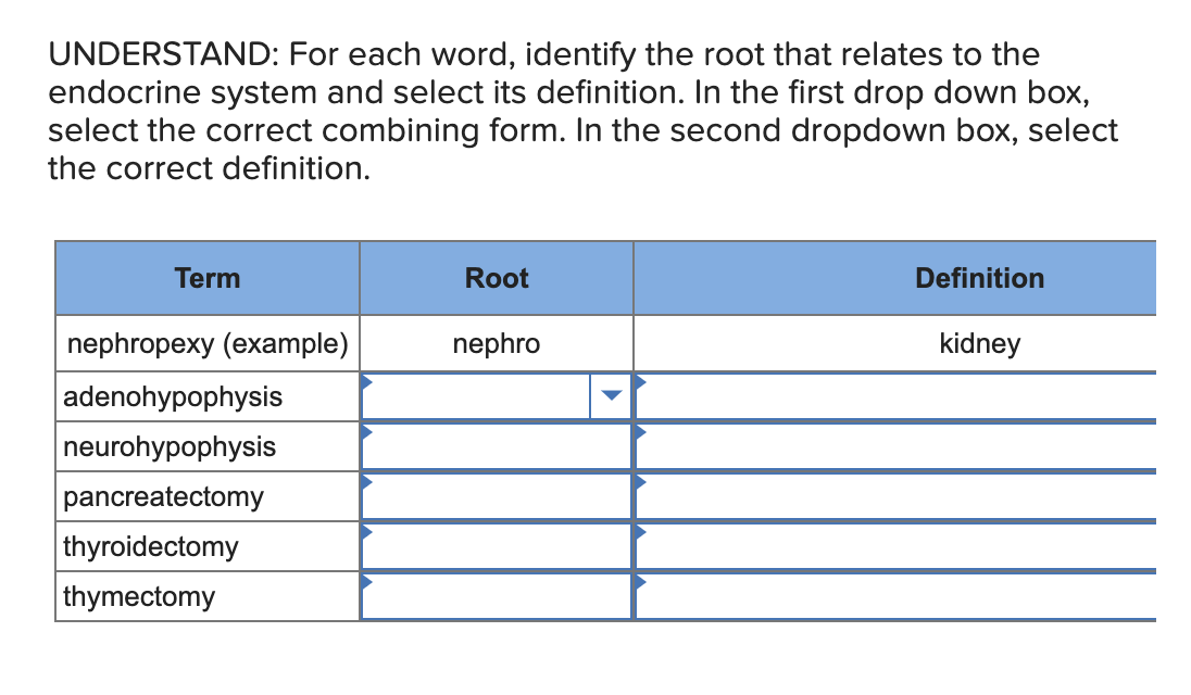 Solved UNDERSTAND: For each word, identify the root that | Chegg.com