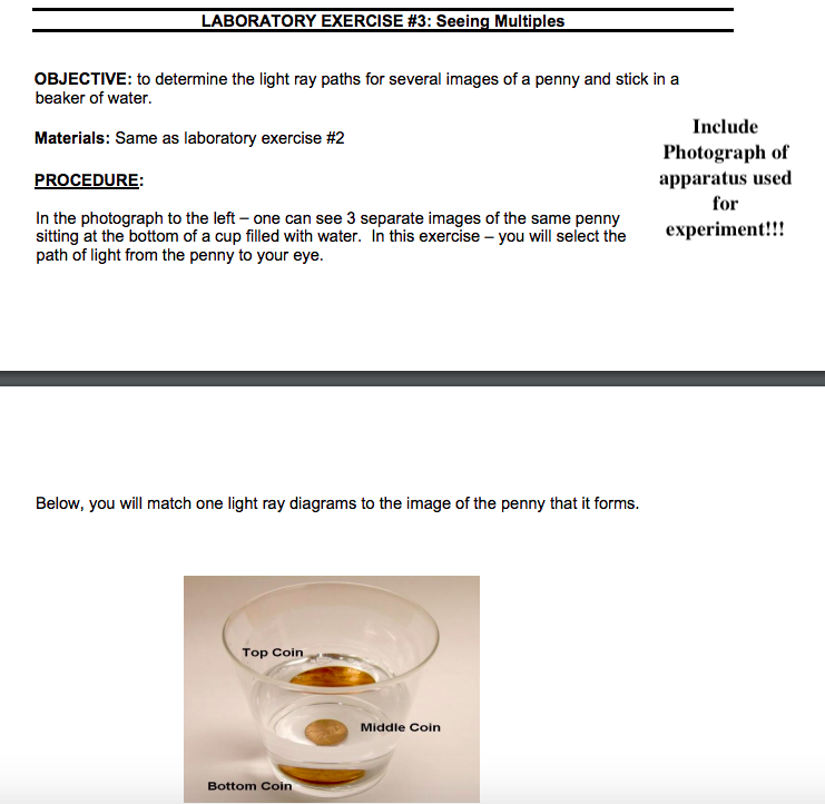 Solved LABORATORY EXERCISE #3: Seeing Multiples OBJECTIVE: | Chegg.com