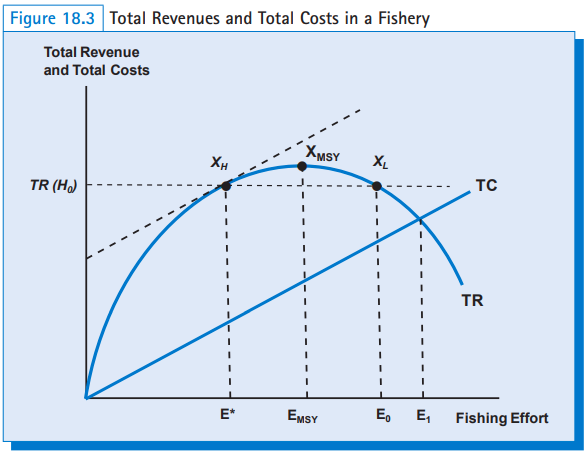 Solved Suppose that a fishery is characterized by the | Chegg.com