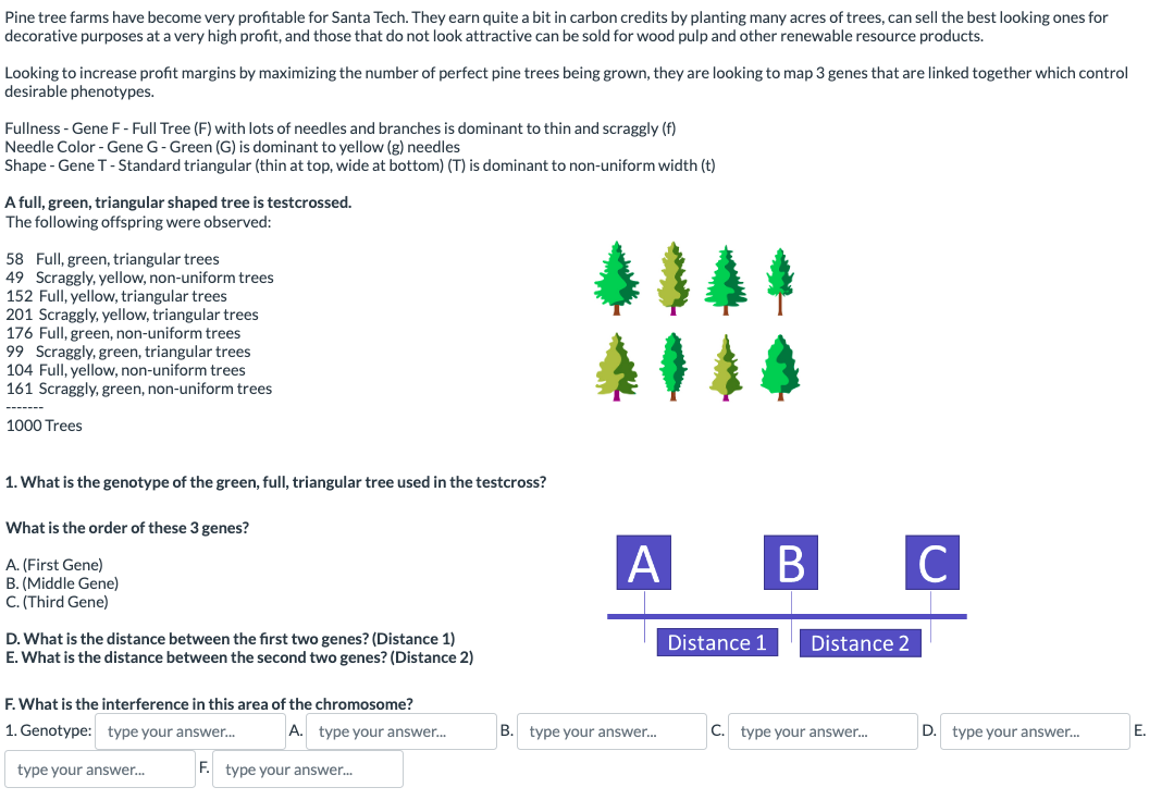 Solved Pine tree farms have very profitable for Santa