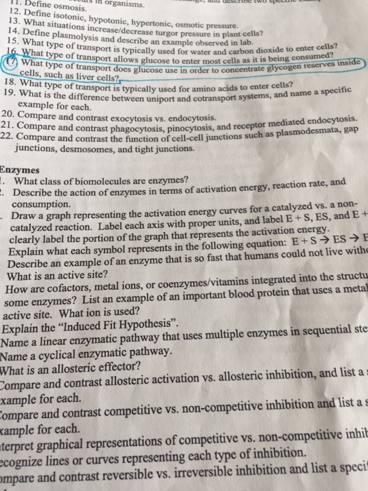 What Is Cotransport And Why Is An Advantage In Living Systems