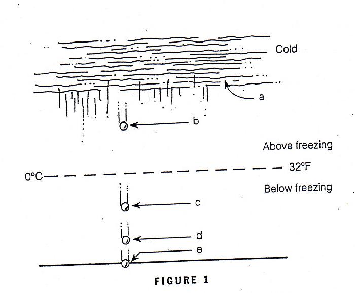 Solved (ONE QUESTION) 4. Using Figure 1 answer these | Chegg.com