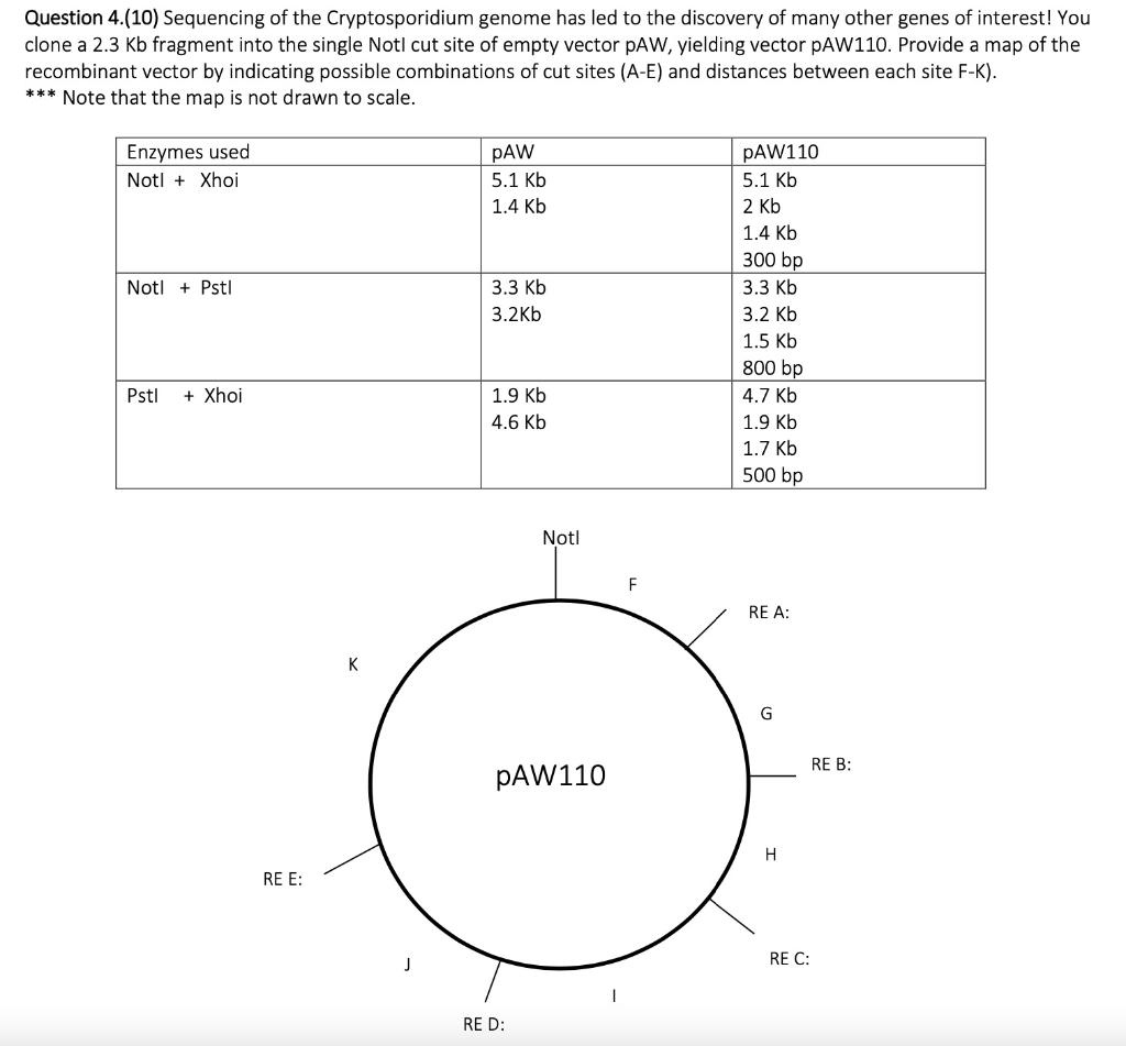 Solved When Drawing A Restriction Map For A Plasmid, And | Chegg.com