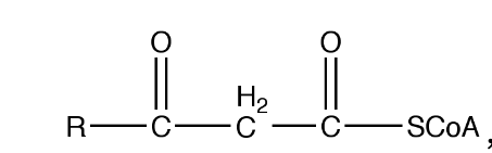 Solved As mentioned in the lecture, the thiolase reaction,