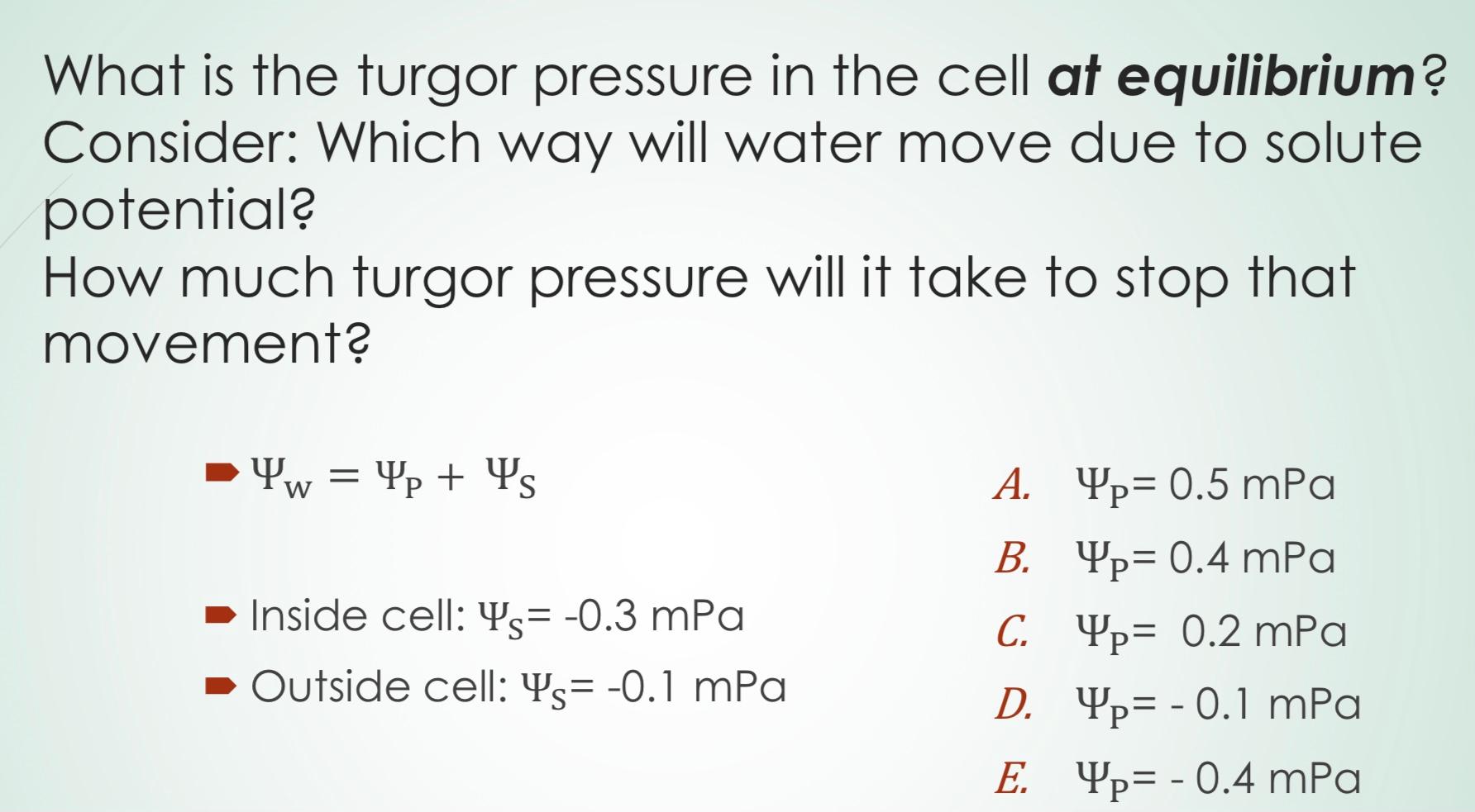 Solved What is the turgor pressure in the cell at