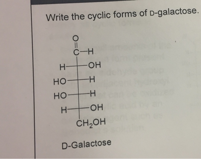 Solved Write the cyclic forms of D galactose Chegg com